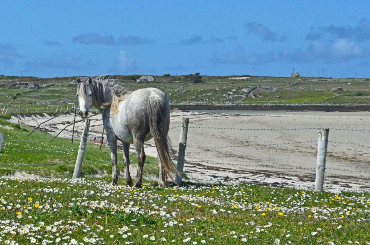 Apartment 263 - Clifden Dış mekan fotoğraf